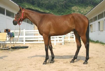 �������� ����