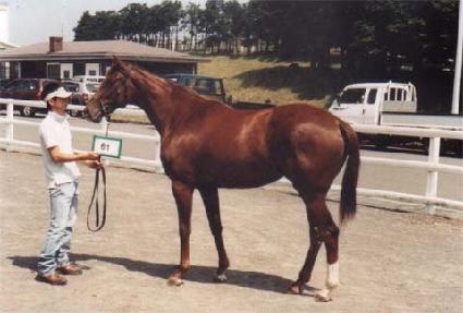 �̷�Ŭ���� ����