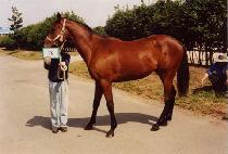 ���� (GANGHAN) ����