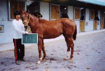 ���ε� (NARODO) ����