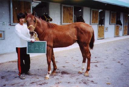 ���ε� ����