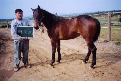 ���ؿ��� ����