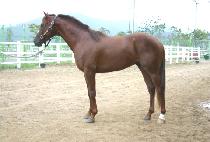 ���ȸ� (GWANGALLI) ����