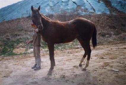 ū���� ����