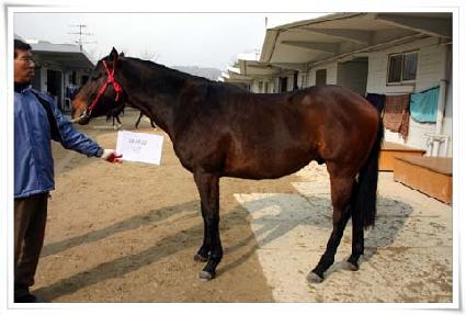 ������ ����