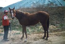 �����ڶ� (WOLGOKJARANG) ����