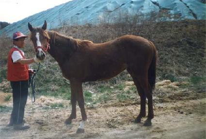 �����ڶ� ����