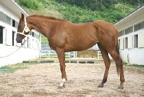 ����ȭ�� (MAKGANGHWARYEOK) ����