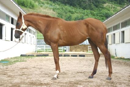 ����ȭ�� ����