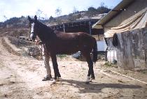 �����º��� (BINNANEUN BOSEOK) ����