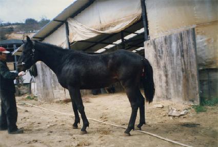 �������ʰ� ����