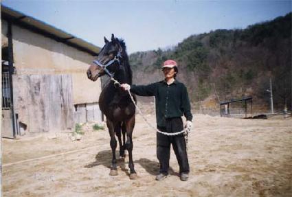 �ձ� ����