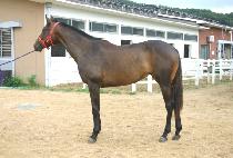 �ִ밭ȣ (CHOEDAEGANGHO) ����