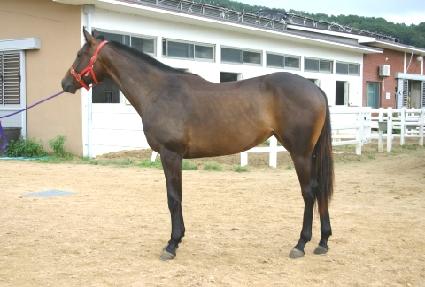 �ִ밭ȣ ����