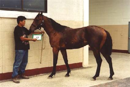 ���̸� ����