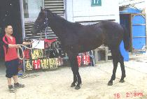 ������ (BYEONGNANPO) ����