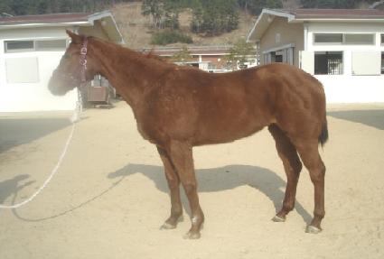 �����ϰ� ����