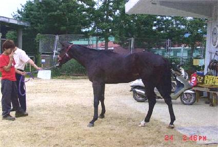 ���̹�Ʈ�� ����