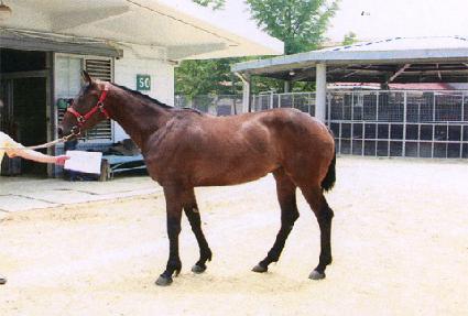 ���̹��� ����