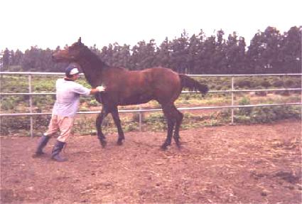 ��� ����