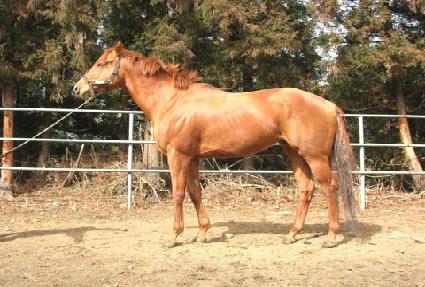 ���󺸹� ����