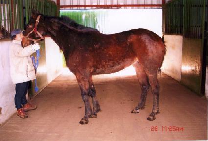 ��ҹ��� ����