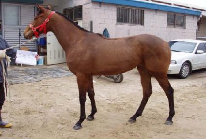 �������� ����