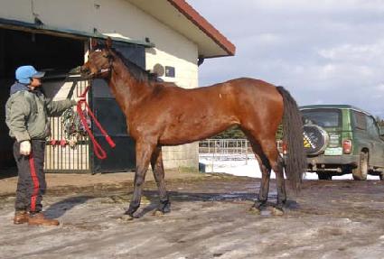 �ٽ����� ����