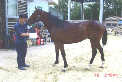 ���߼� ����