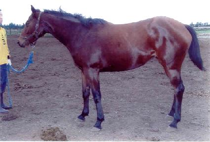 ���п��� ����