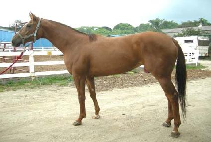 ����õ�� ����