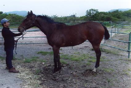 ���̴׷��� ����