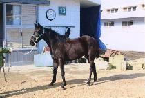 ���� (YUDONG) ����