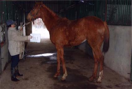 ���ݳ��� ����