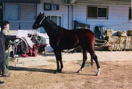 ������ ����