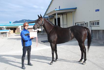 ģ���� ����