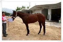 ��������۳� (ONEUREUNGIPPEUNNAL) ����