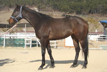 �������� ����