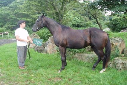 ����ç���� ����