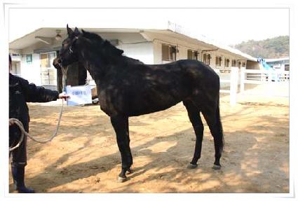 ��ȭ���� ����