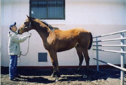 ���´��� ����