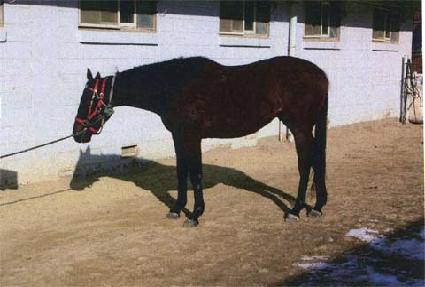 ��ĵ�� ����