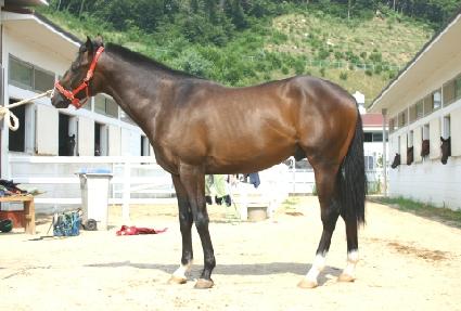 �̱ۼ� ����