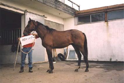 õ��õž ����