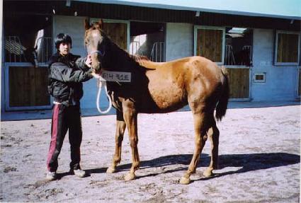 ��Ȱ�� ����