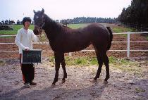 ũ������ (CROWN BIRDIE) ����