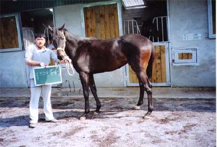 ī������ġ ����