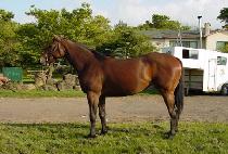 �̸����� (MIREU YEOSIN) ����