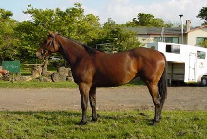 �̸����� ����