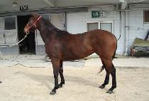 �������� (MANNYEON CHUKJE) ����